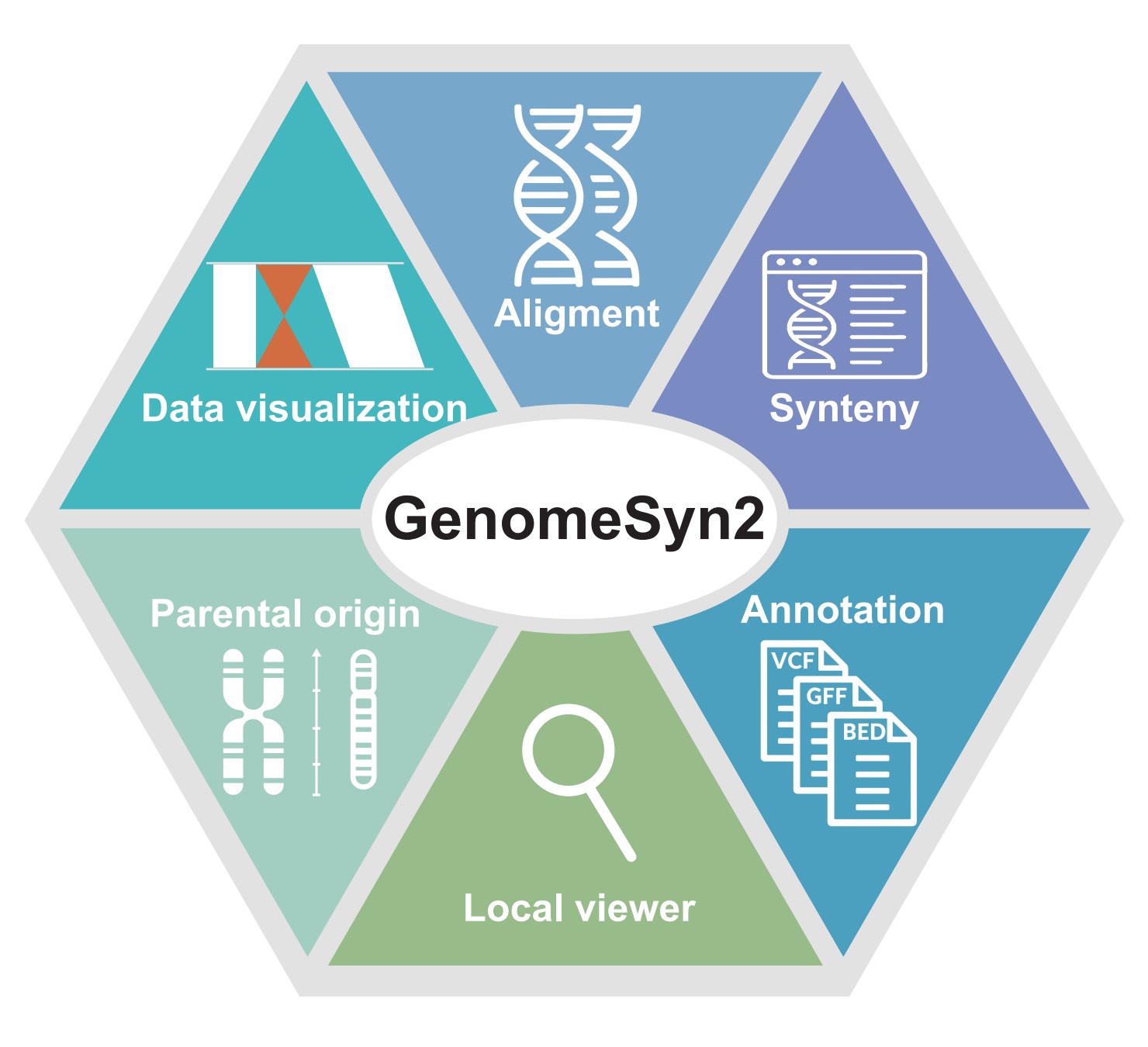 GenomeSyn2 介绍页面